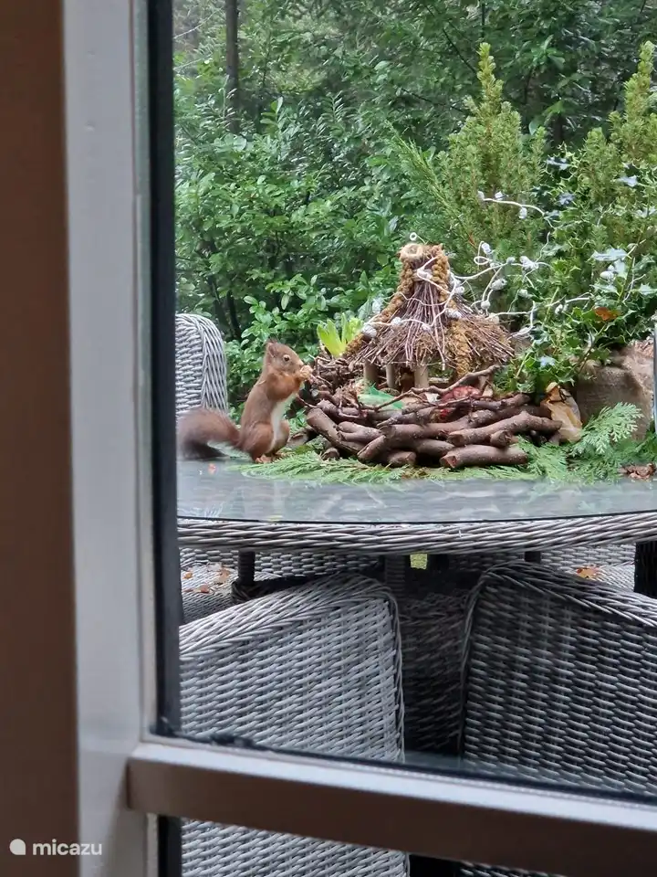 Gemaakt door een gast.