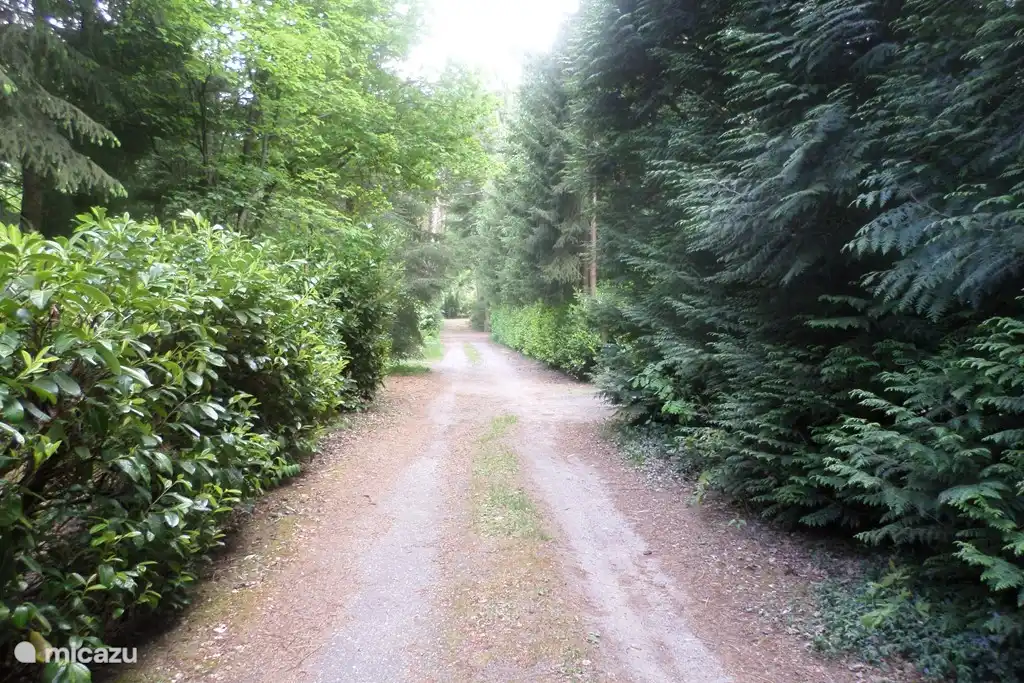 De weg naar het huis toe