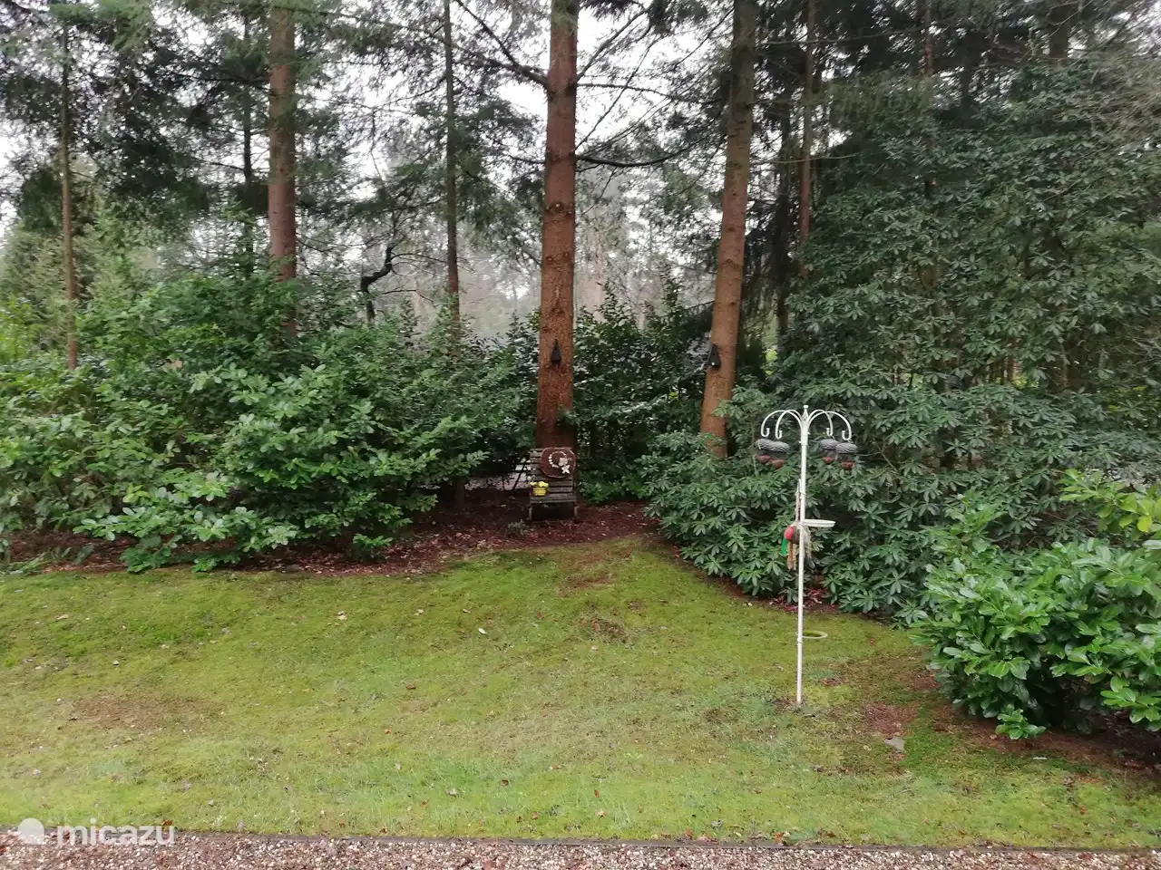 stukje van de fraaie bostuin