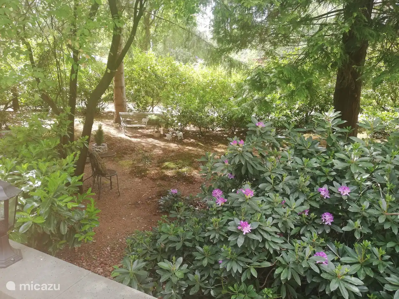 Hoort ook bij de bostuin