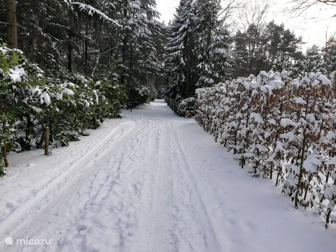 De weg naar het verblijf op een mooie winterdag