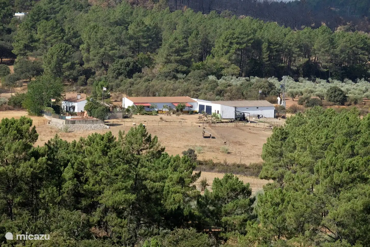 Übersicht Bauernhof