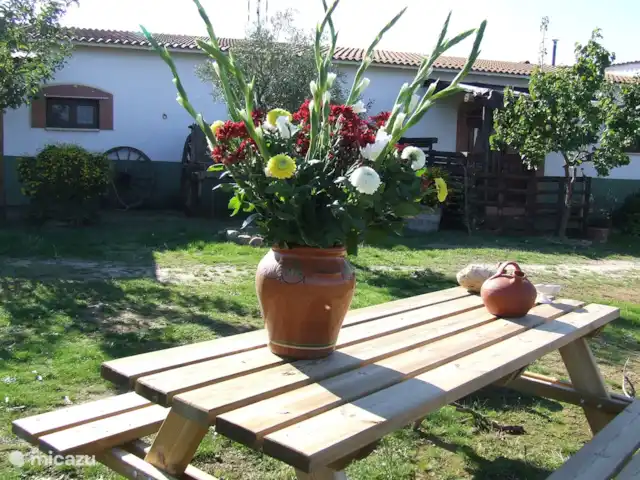 Location de Vacances Espagne, Estrémadure, Alcuéscar, gîte / cottage - Finca El Chorrillo - Casita Jardin
