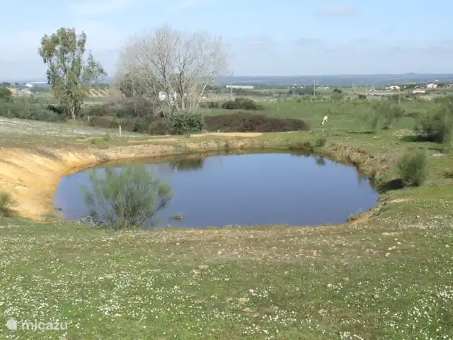 Location de Vacances Espagne, Estrémadure, Alcuéscar, gîte / cottage - Finca El Chorrillo - Casita Perspective
