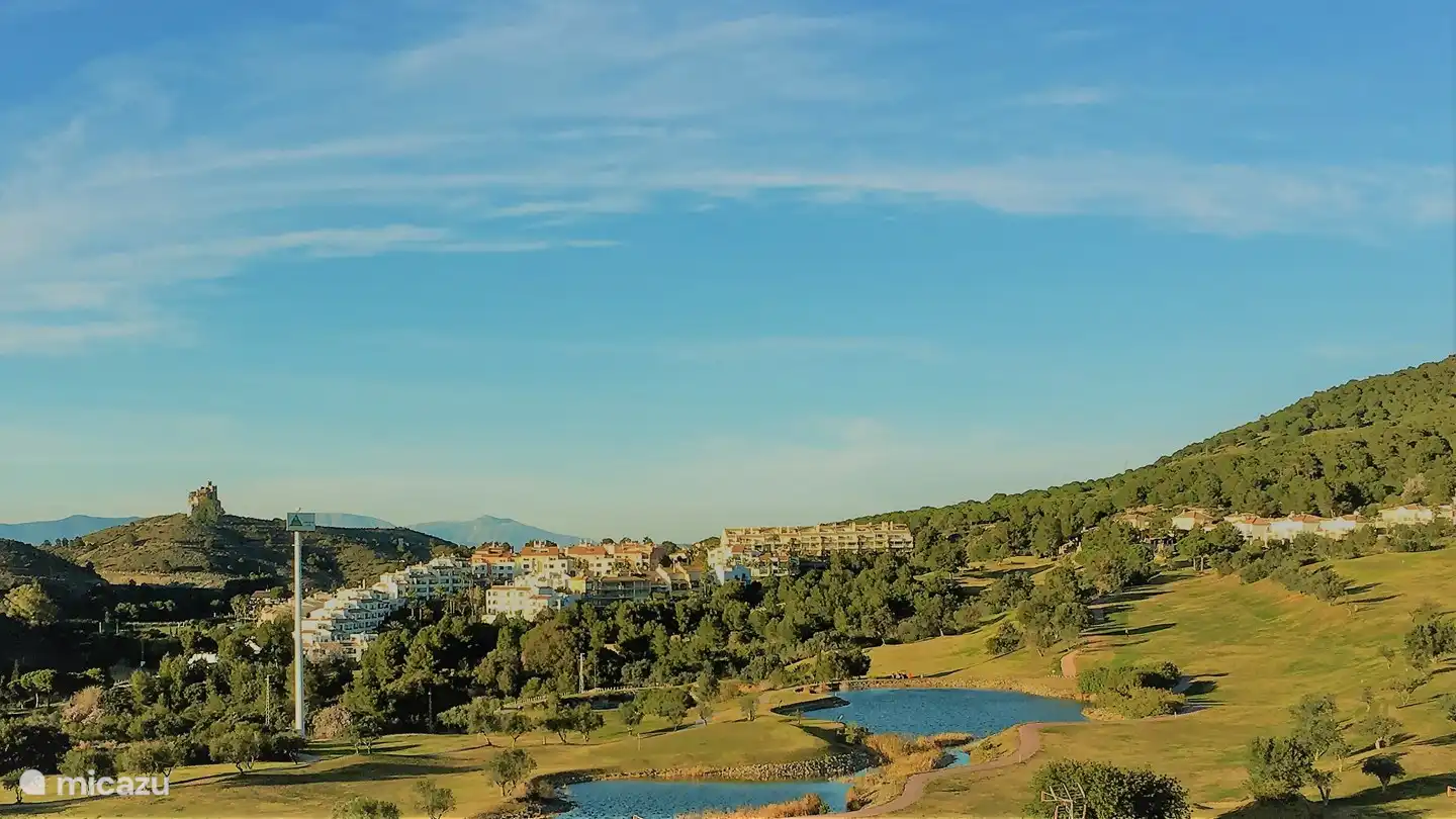 View from the terrace