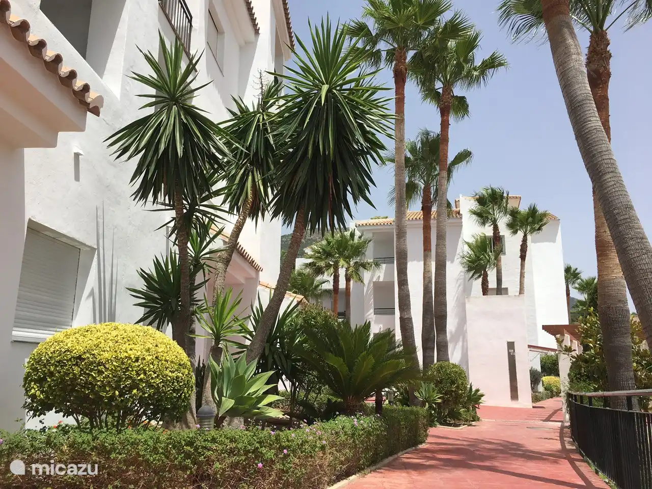 Garden at the entrance