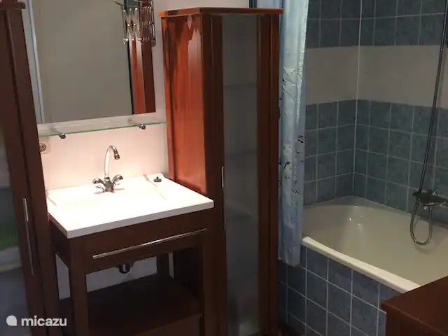 Petrarca huren in Nederland, Gelderland, Putten - vakantiehuis Badkamer