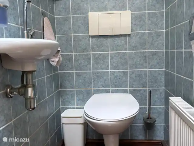 Petrarca huren in Nederland, Gelderland, Putten - vakantiehuis Toilet