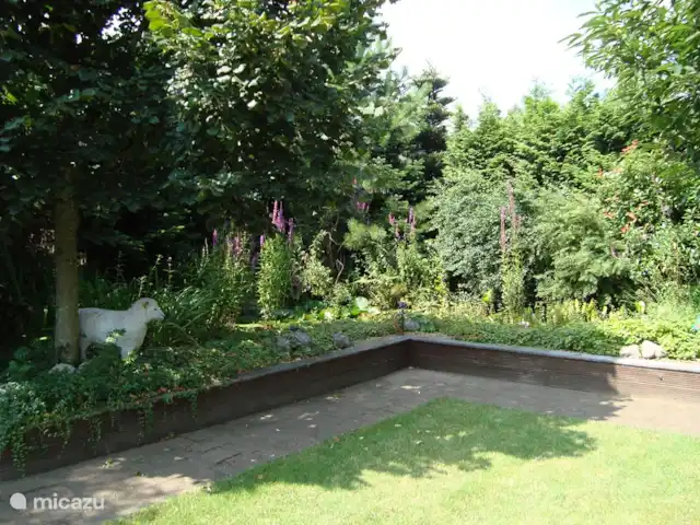 Petrarca huren in Nederland, Gelderland, Putten - vakantiehuis Vijver en bomenpartij