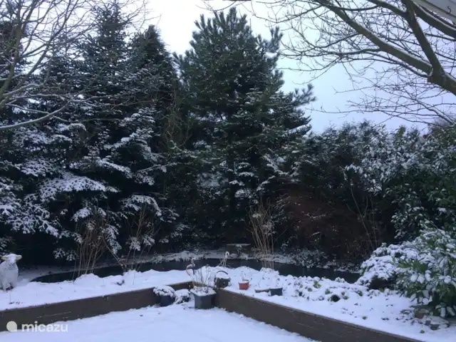 Petrarca huren in Nederland, Gelderland, Putten - vakantiehuis Achtertuin in de winter