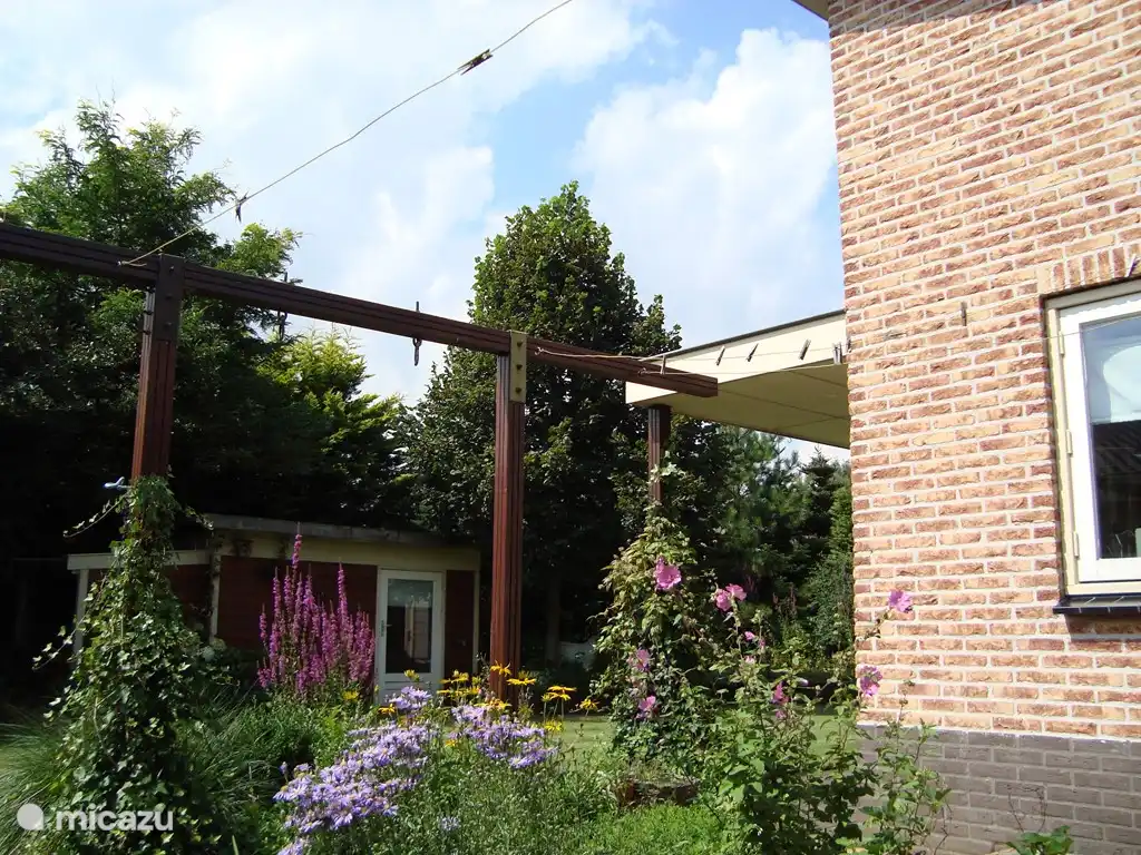 Schauen Sie in den Garten