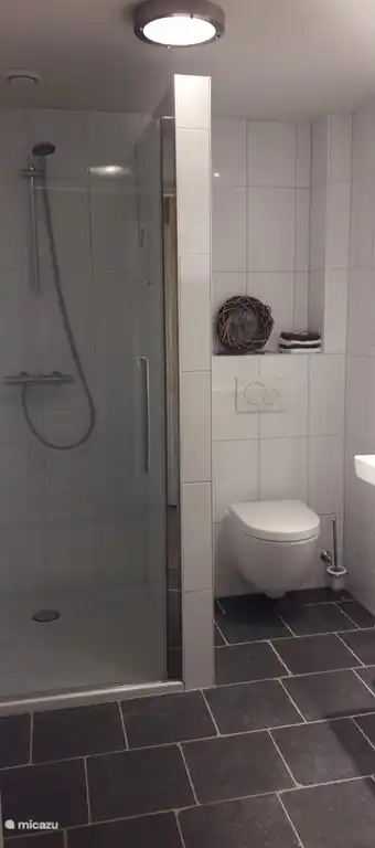 Luxus-Badezimmer, voll im Jahr 2016 renoviert, mit schönen großen Dusche (1 x 1 m).