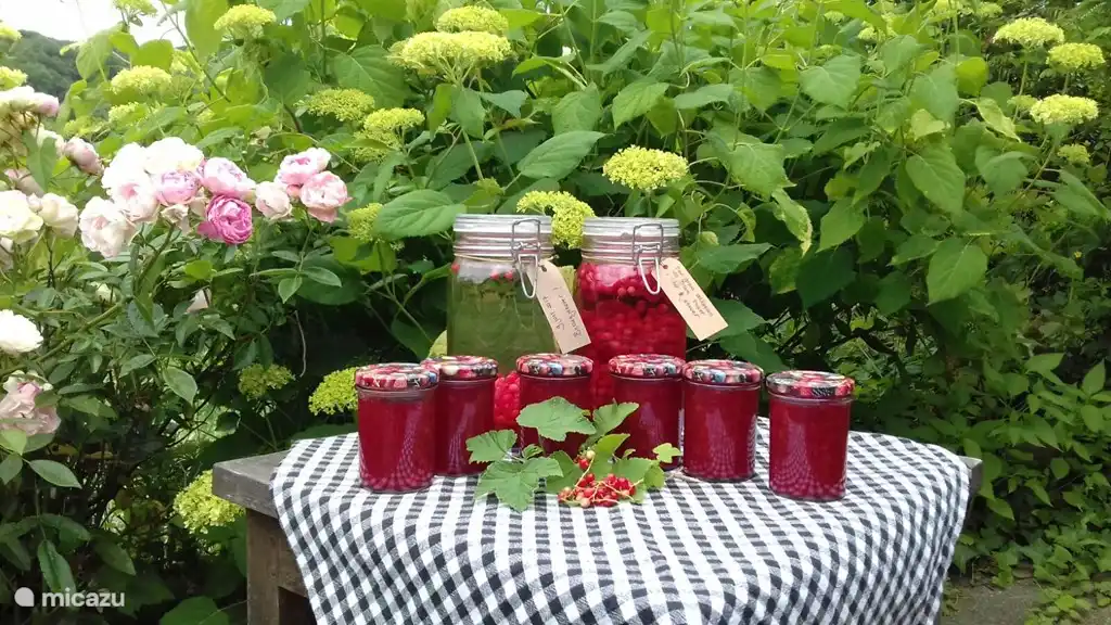 Probieren Sie die Leckereien aus Ihrem eigenen Obstgarten!