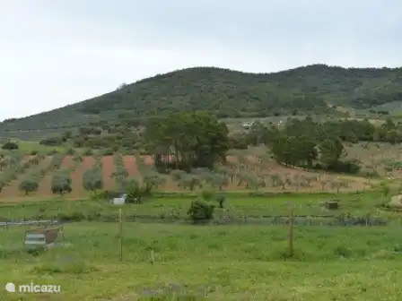Finca El Chorrillo Studio in Spanien, Extremadura, Alcuéscar - Studio