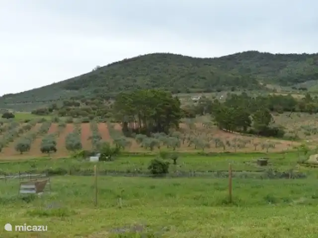 studio en España, Extremadura, Alcuéscar – Estudio Finca El Chorrillo studio en España, Extremadura, Alcuéscar – Estudio Finca El Chorrillo