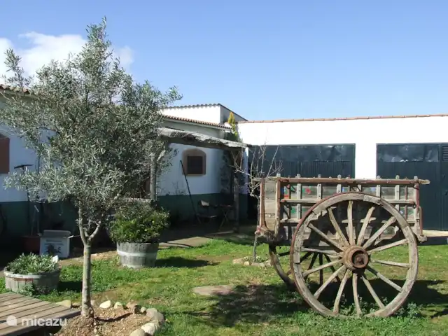 studio en España, Extremadura, Alcuéscar – Estudio Finca El Chorrillo afuera