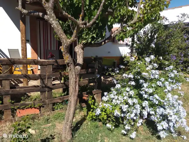 studio en España, Extremadura, Alcuéscar – Estudio Finca El Chorrillo Frente