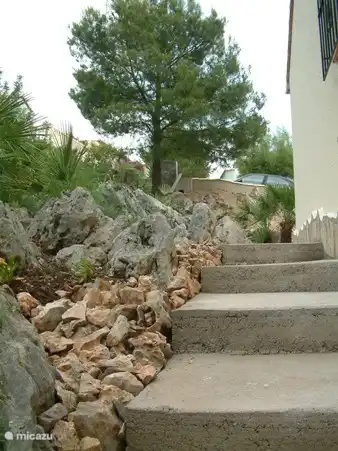 Garten am Standort des Hauses