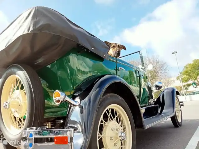 Villa Jalón | Espagne, Costa Blanca, Jalón - villa ACTION - Réservez dès maintenant votre séjour à la villa Jalon et bénéficiez d'un tour gratuit avec cette belle A Ford de 1928 plus un déjeuner pour deux personnes ! Veuillez nous indiquer lors de la réservation que vous souhaitez profiter de cette promotion.