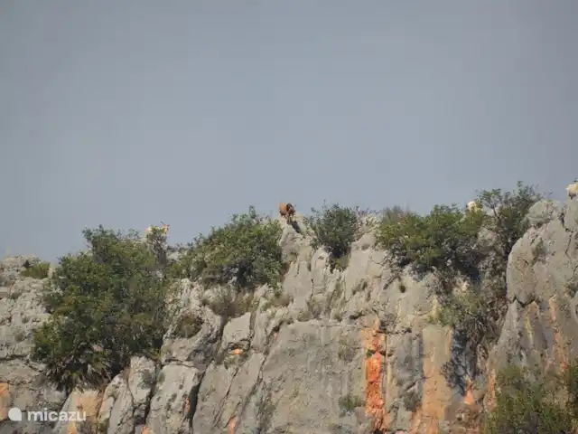 Villa Jalón | Espagne, Costa Blanca, Jalón - villa Randonnée - Sentiers à côté de la Villa