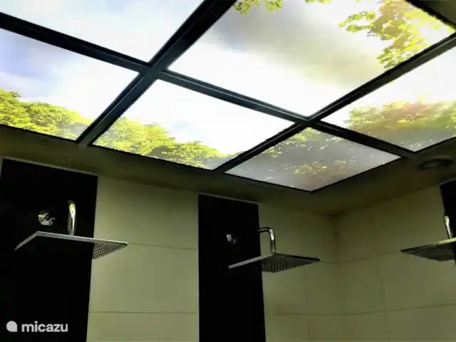 Wellness Chalet ROOS in Durbuy | Belgique, Ardennes, Bomal-sur-Ourthe - villa Le plafond surprenant de la grande salle de douche Wellness. Vous vous imaginez dehors dans la nature tout en profitant de l’une des trois grandes averses de pluie.