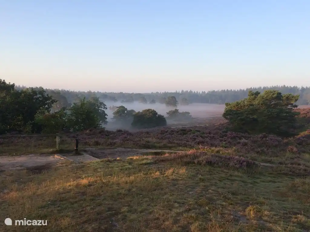 Agosto: brezos en flor en el Renderklippen