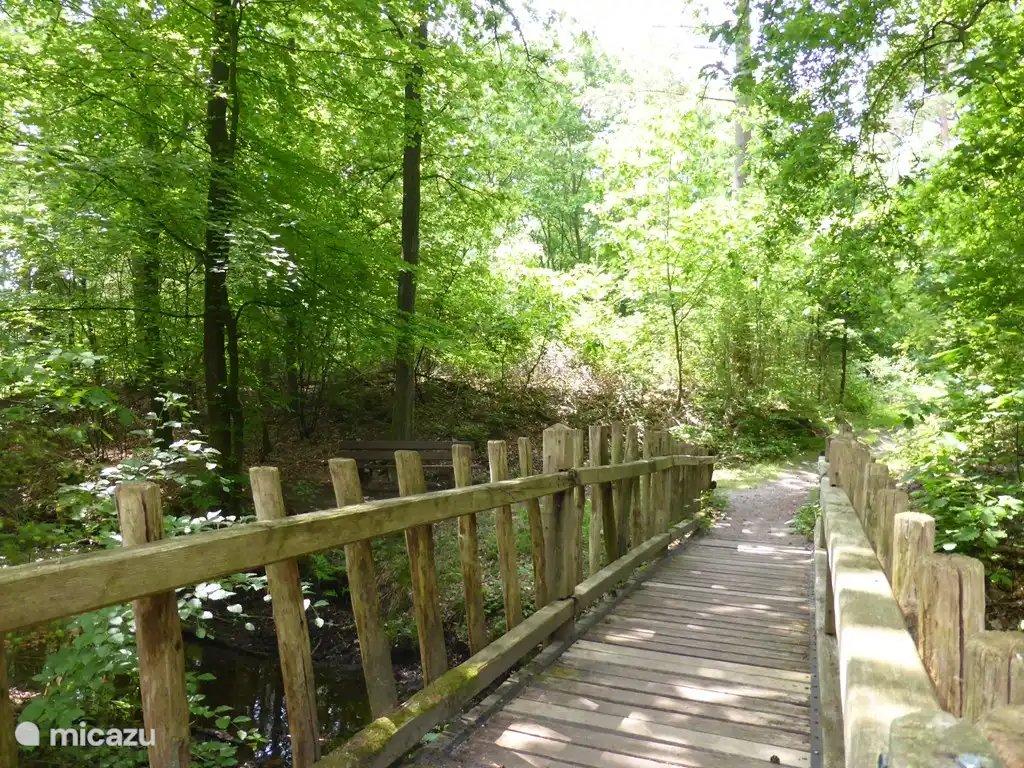 Bonitas rutas de senderismo sobre los arroyos de manantial justo detrás de la casa.