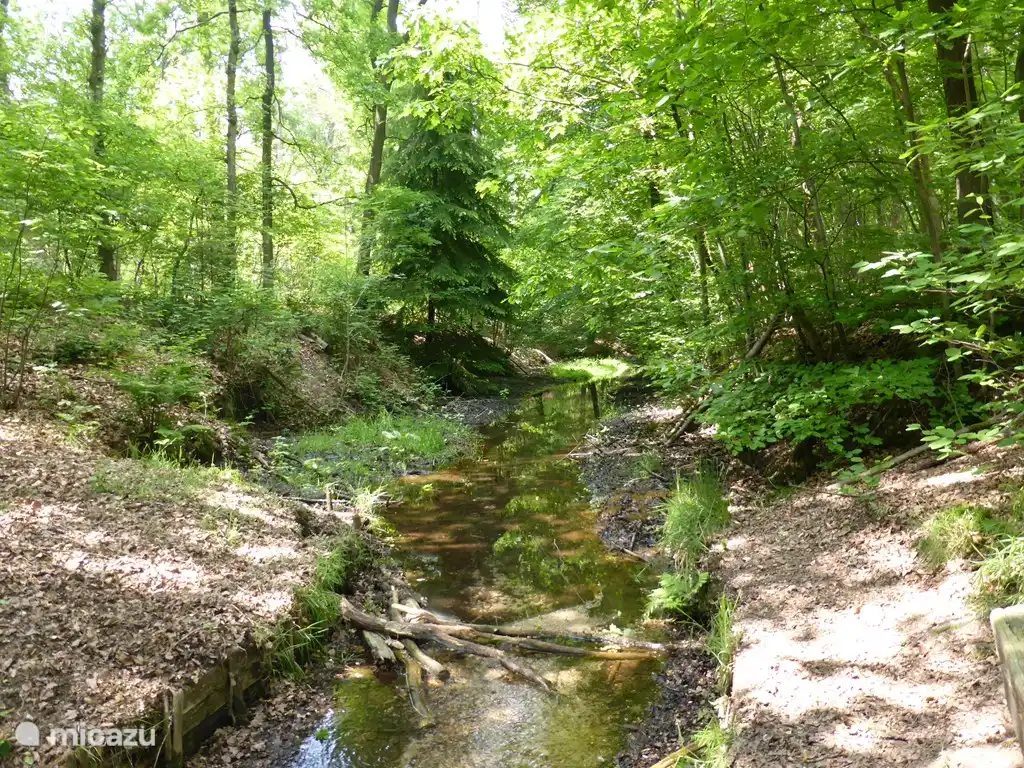 Los arroyos de Sprengen solían usarse para hacer funcionar los molinos de agua.