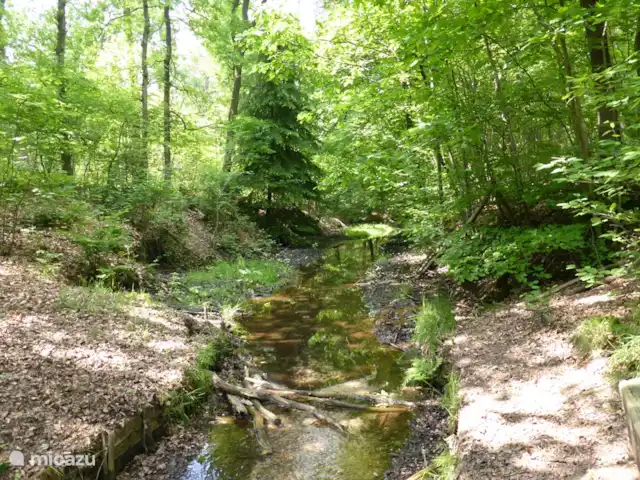 Maison de vacances Sprengenbos - Epe | Pays-Bas, Gueldre, Epe - maison de vacances Les ruisseaux de Sprengen servaient autrefois à faire fonctionner des moulins à eau.
