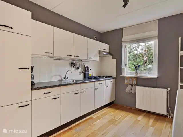 Maison de vacances Sprengenbos - Epe | Pays-Bas, Gueldre, Epe - maison de vacances Cuisine complète