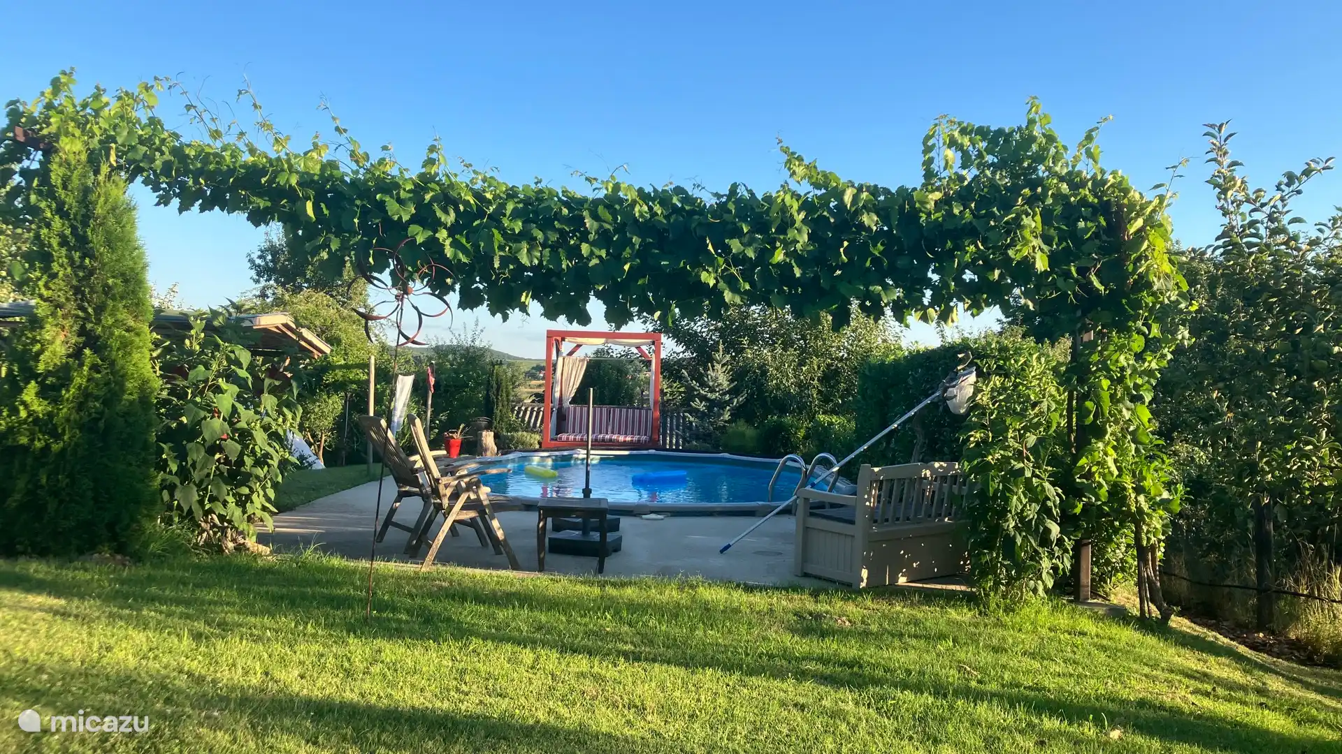 Piscine sous une haie de raisin.
