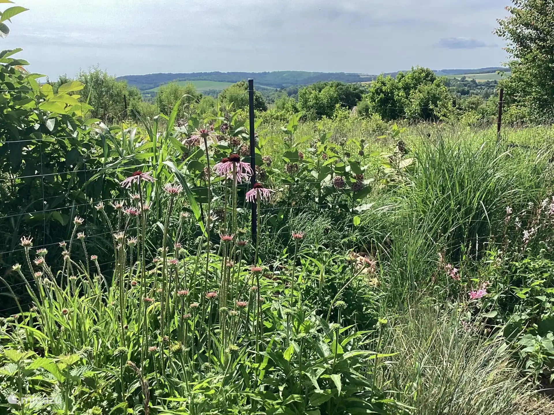 vakantiehuis in Hongarije huren? – Az Almafa 2