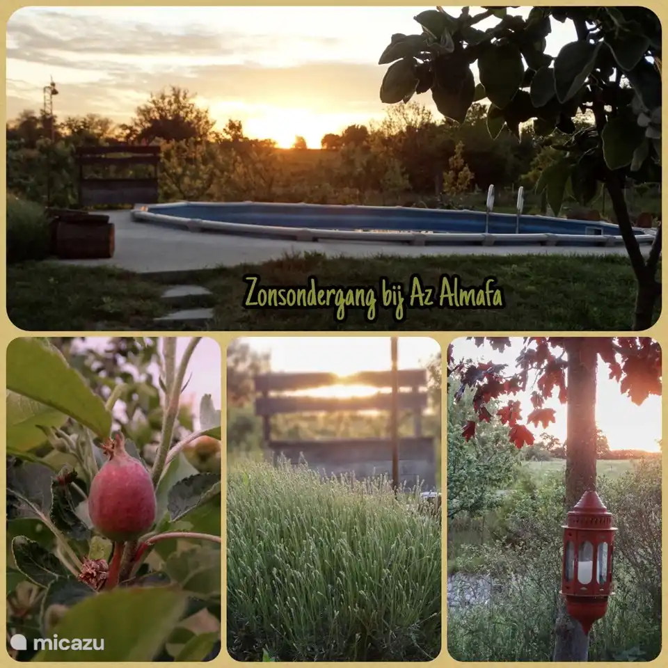 Sonnenuntergang am Pool