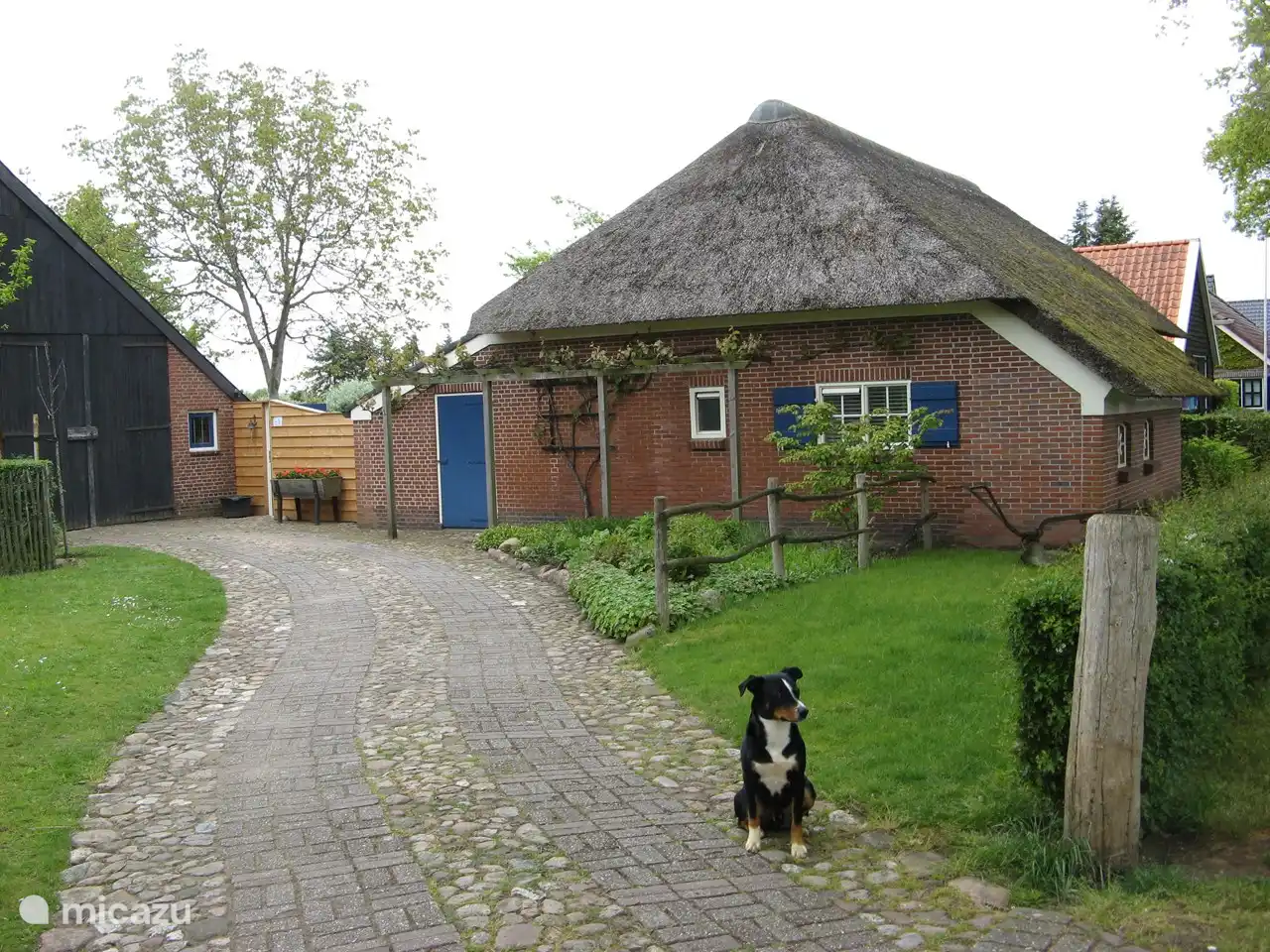 The swallow's nest in Netherlands, Drenthe, Exloo - Holiday house