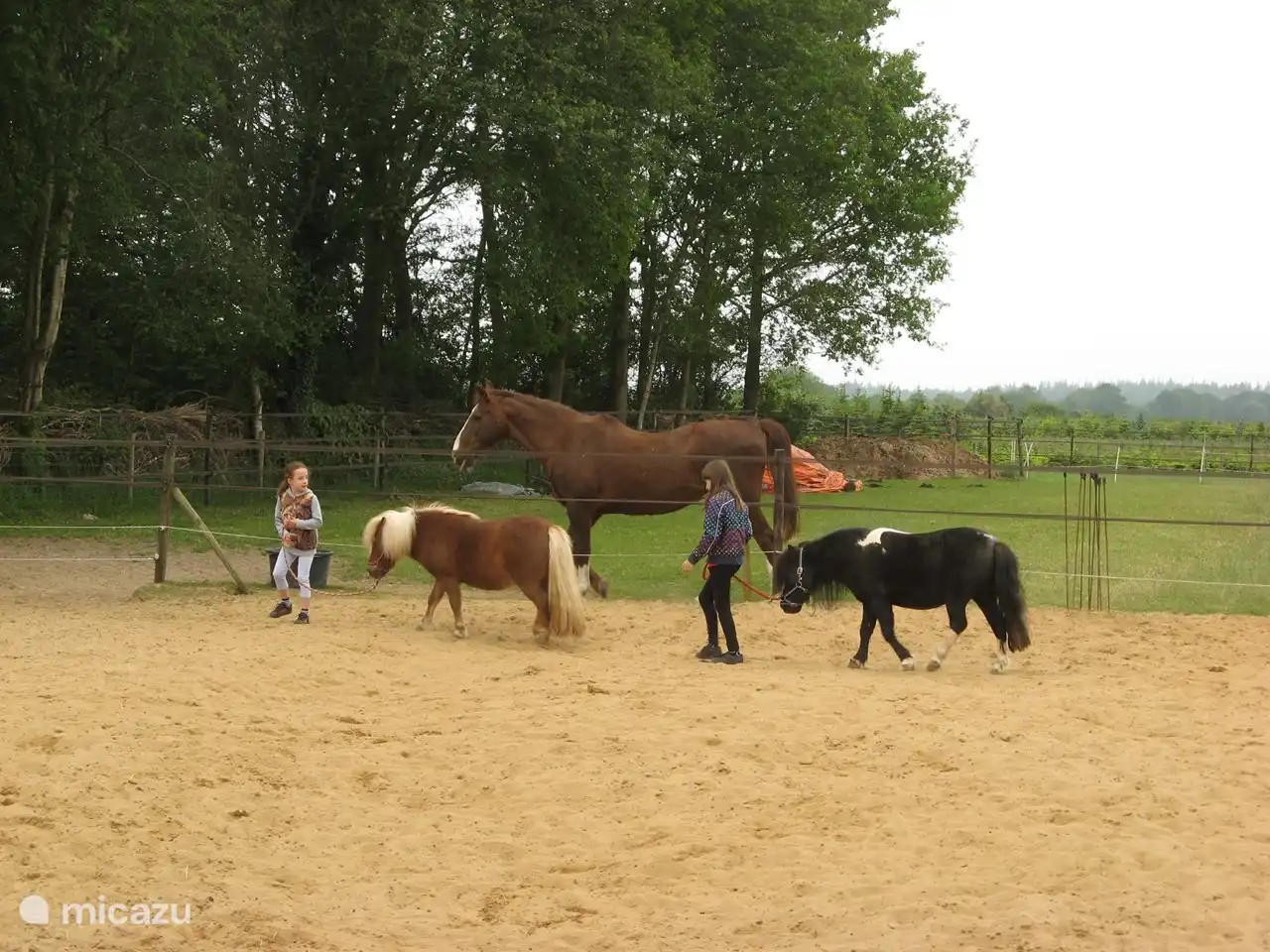 en genieten tijdens hun vakantie