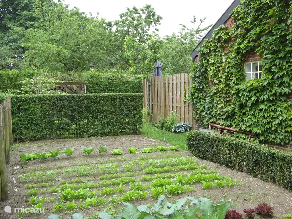 The swallow's nest in Netherlands, Drenthe, Exloo - Holiday house