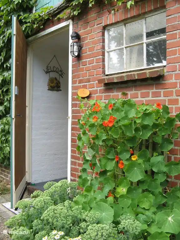 The swallow's nest in Netherlands, Drenthe, Exloo - Holiday house