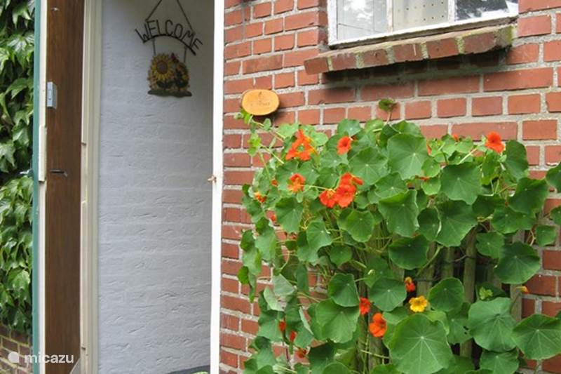 Vacation rental Netherlands, Drenthe, Exloo Holiday house 'T Zwaluwe Nest