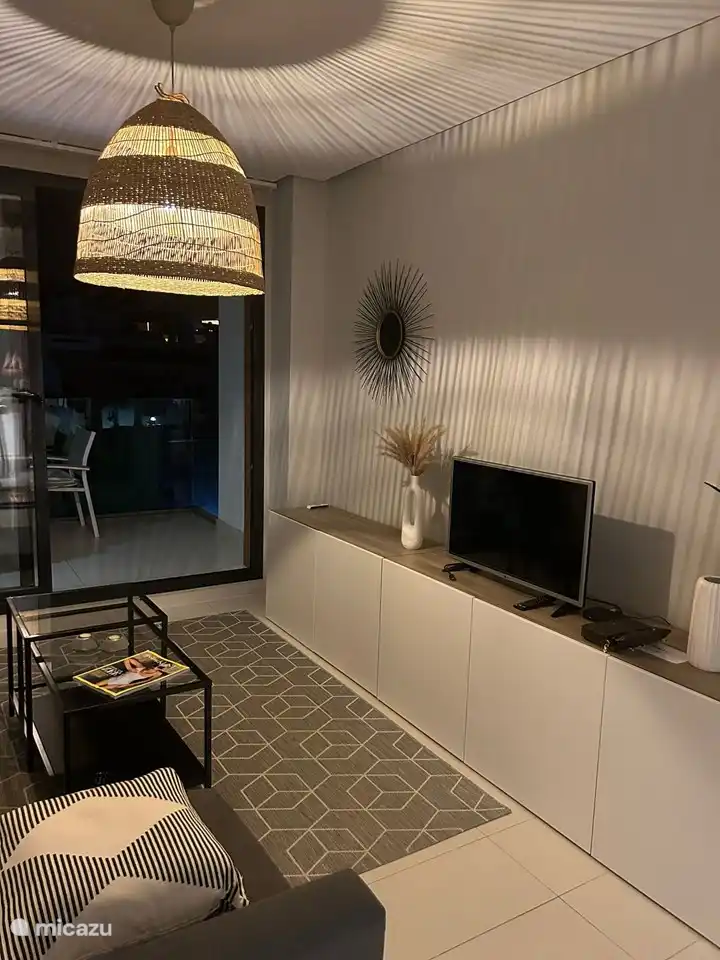 Salon : TV avec chaînes satellite (plusieurs langues) + chromecast