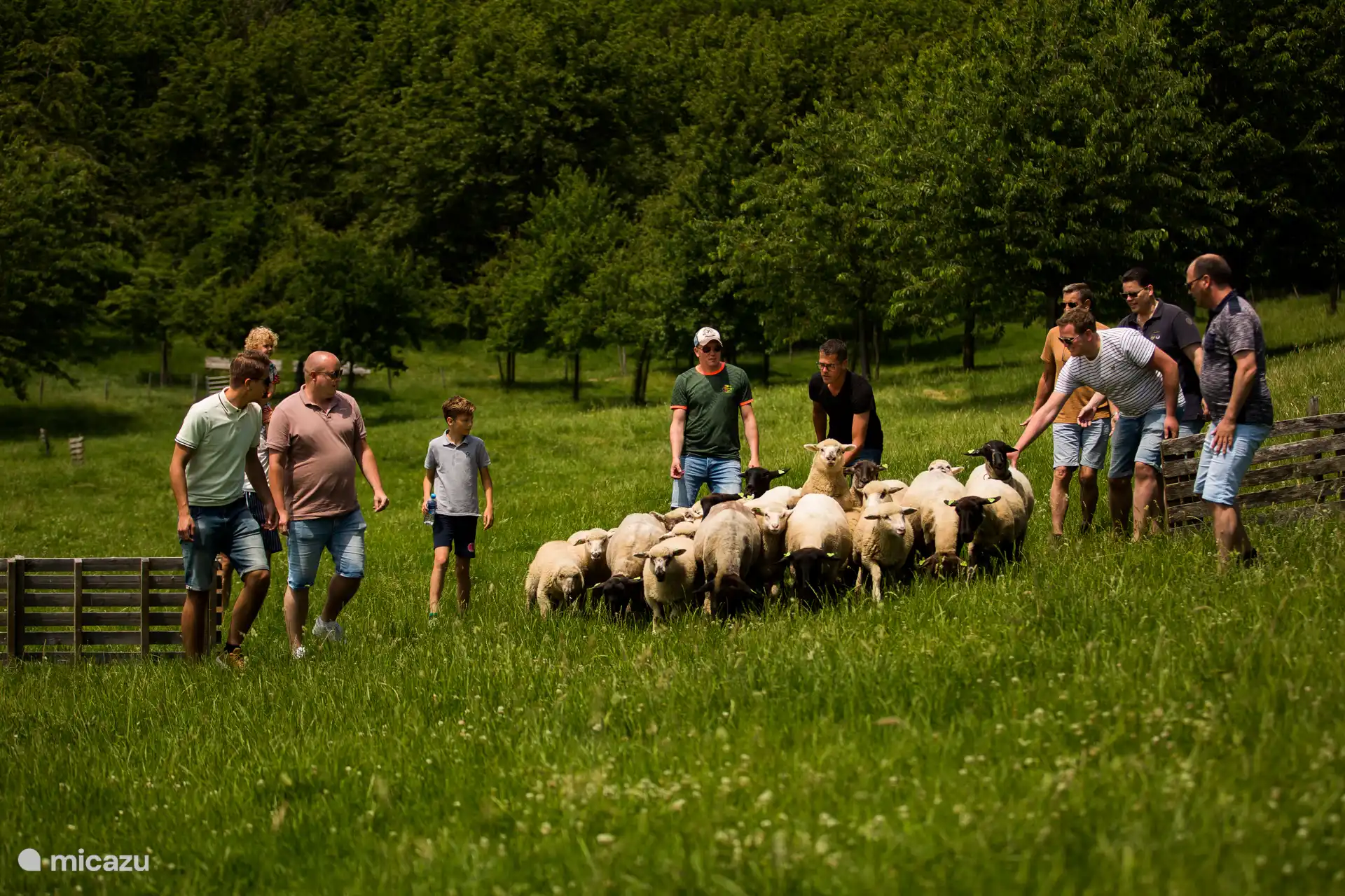 Zuid-Limburg heuvelland