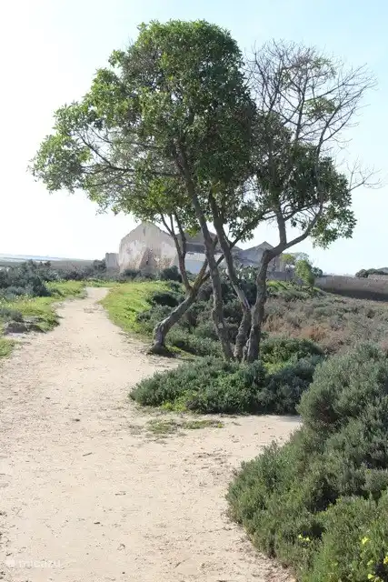 Hier wird das Salz gesammelt und getrocknet, aus dem Meer