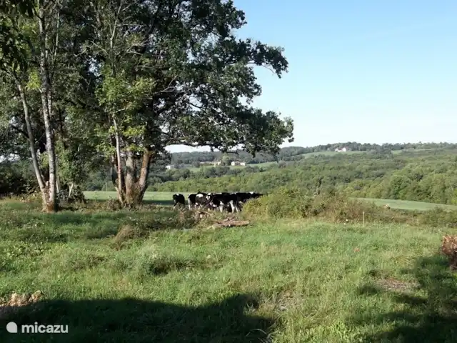 casa vacacional en Francia, Dordoña, Nontron – La pequeña casa Prospecto