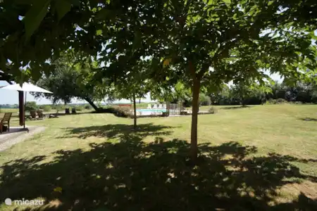 Vakantiehuis Frankrijk, Gers, Bascous bungalow Jouanlanne onder de plataan