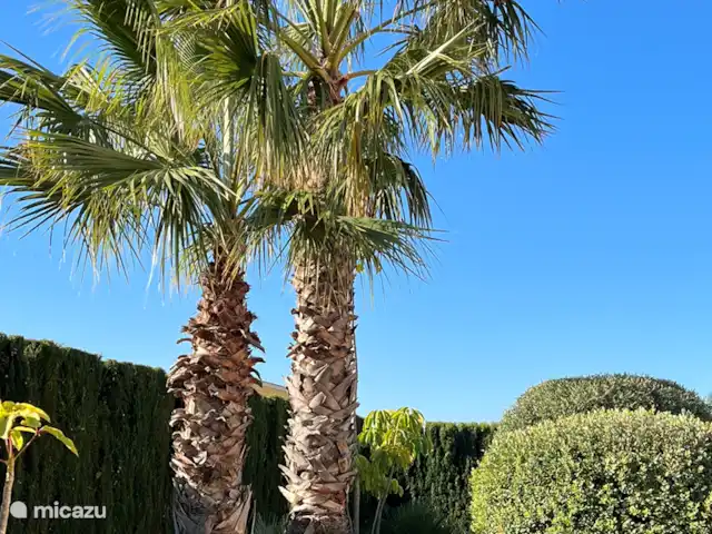 Location de Vacances Espagne, Costa Blanca, Calpe, villa - Casa Dylano