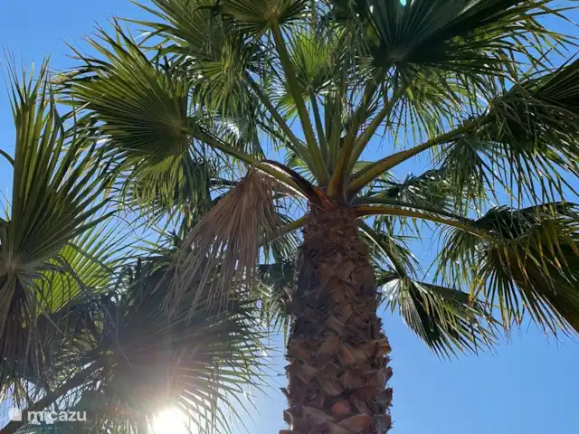 Location de Vacances Espagne, Costa Blanca, Calpe, villa - Casa Dylano