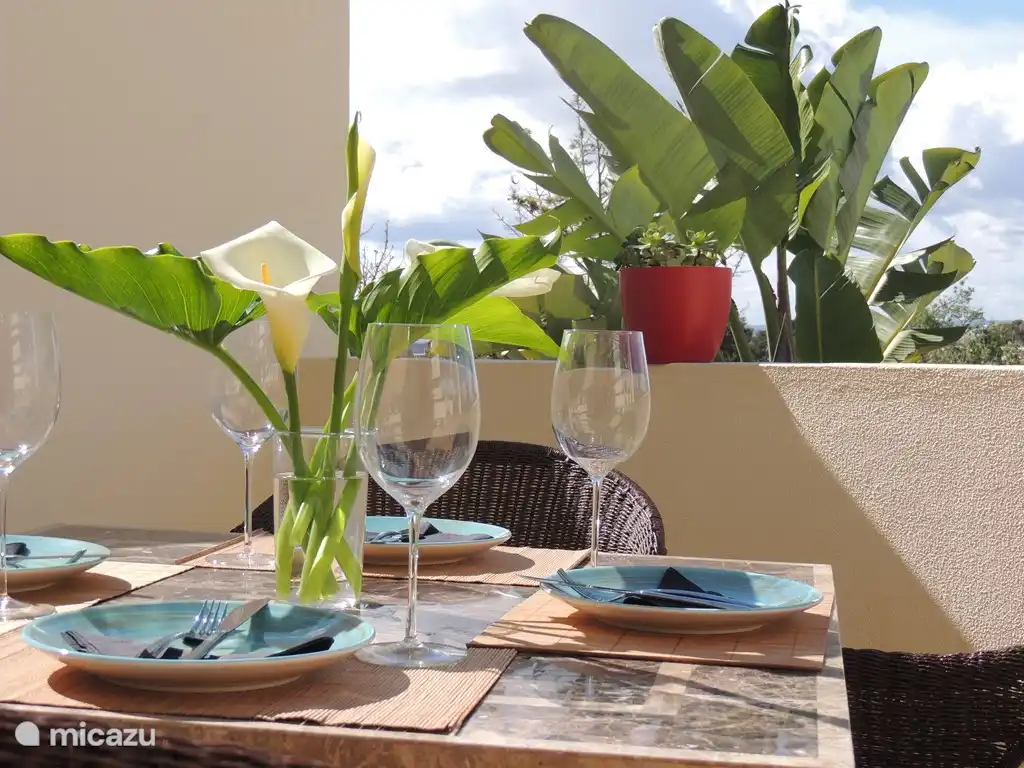 Wenn dieser Traum nicht ...