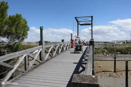 Faire du vélo