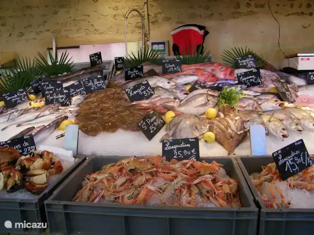 Maison Tulipe | France, Vendée, Château-Guibert - maison de vacances bonne nourriture