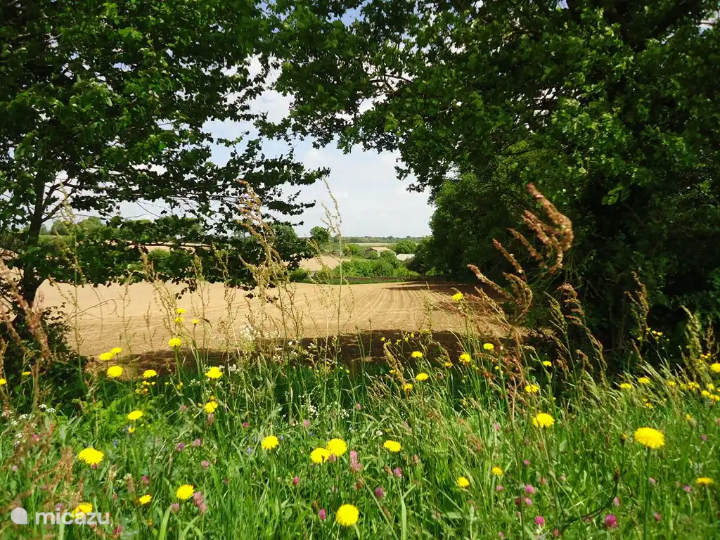 Die ländlichen und hügeligen Süden Vendée