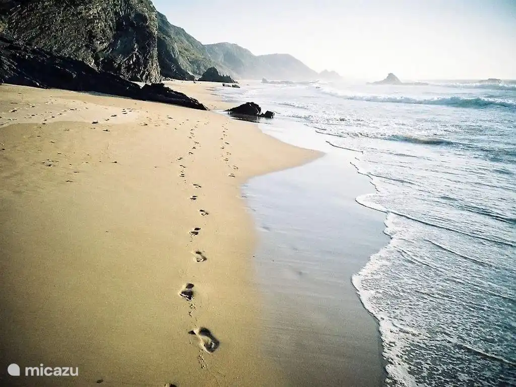 Beautiful beaches, all different.